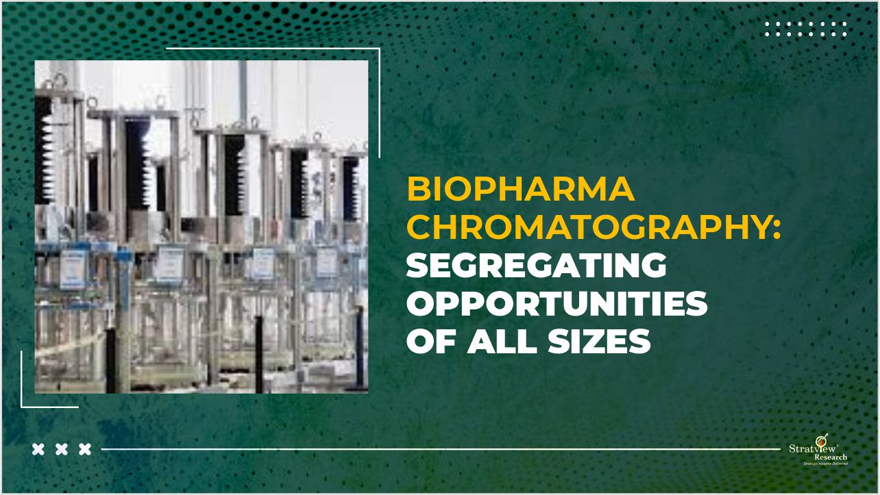 Biopharma Chromatography: Segregating Opportunities of All Sizes