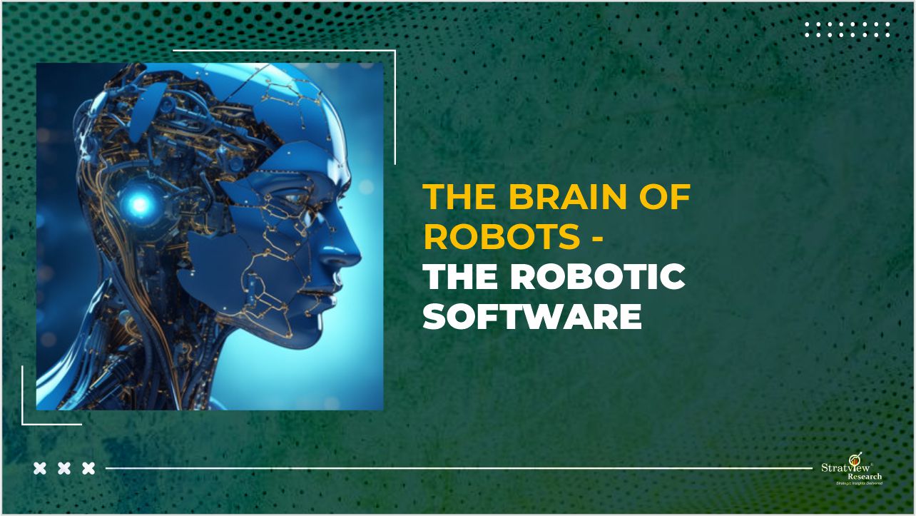 The Brain of Robots - The Robotic Software