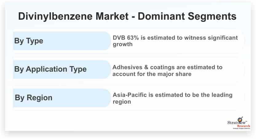 Divinylbenzene-Market-Dominant-Segments
