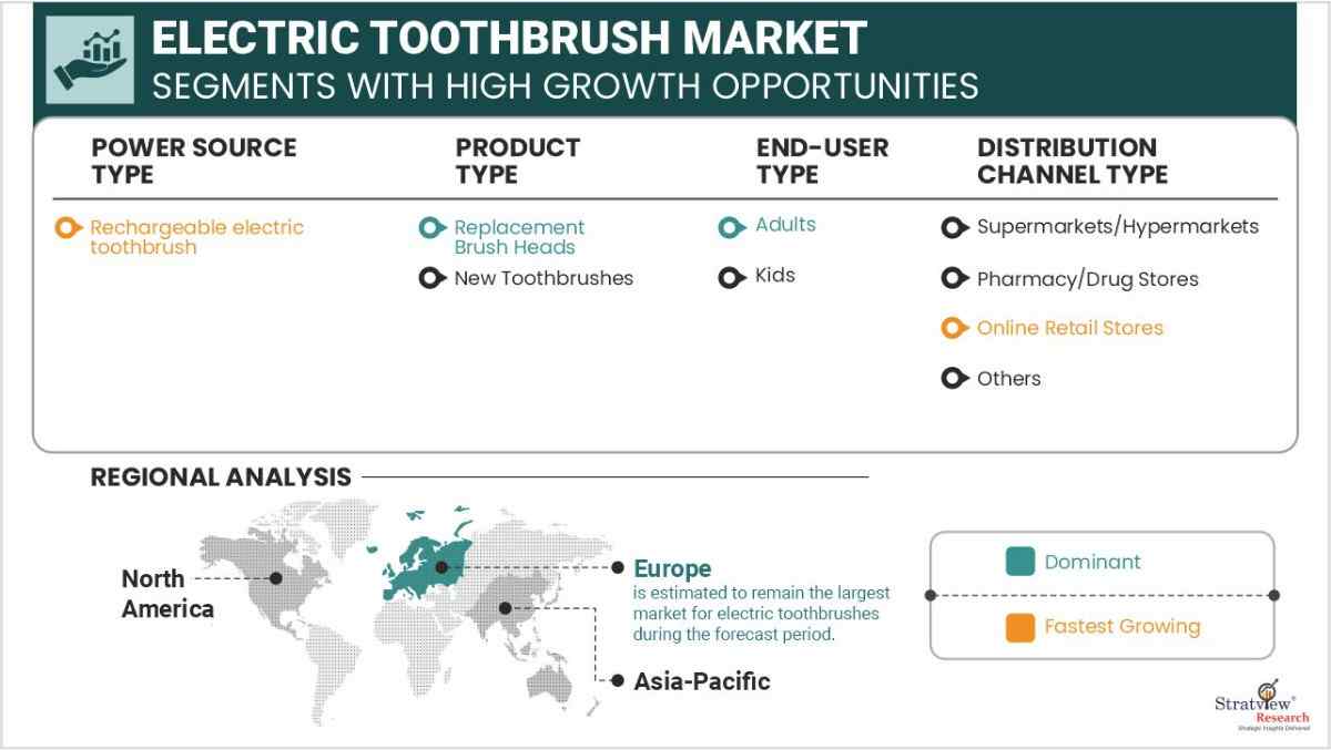 Electric Toothbrush segment